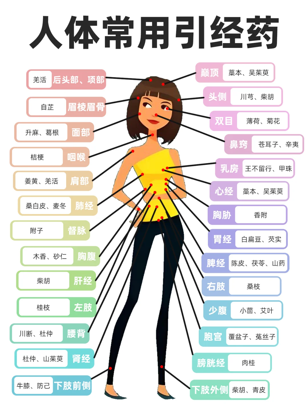 中医｜引经药：让药效