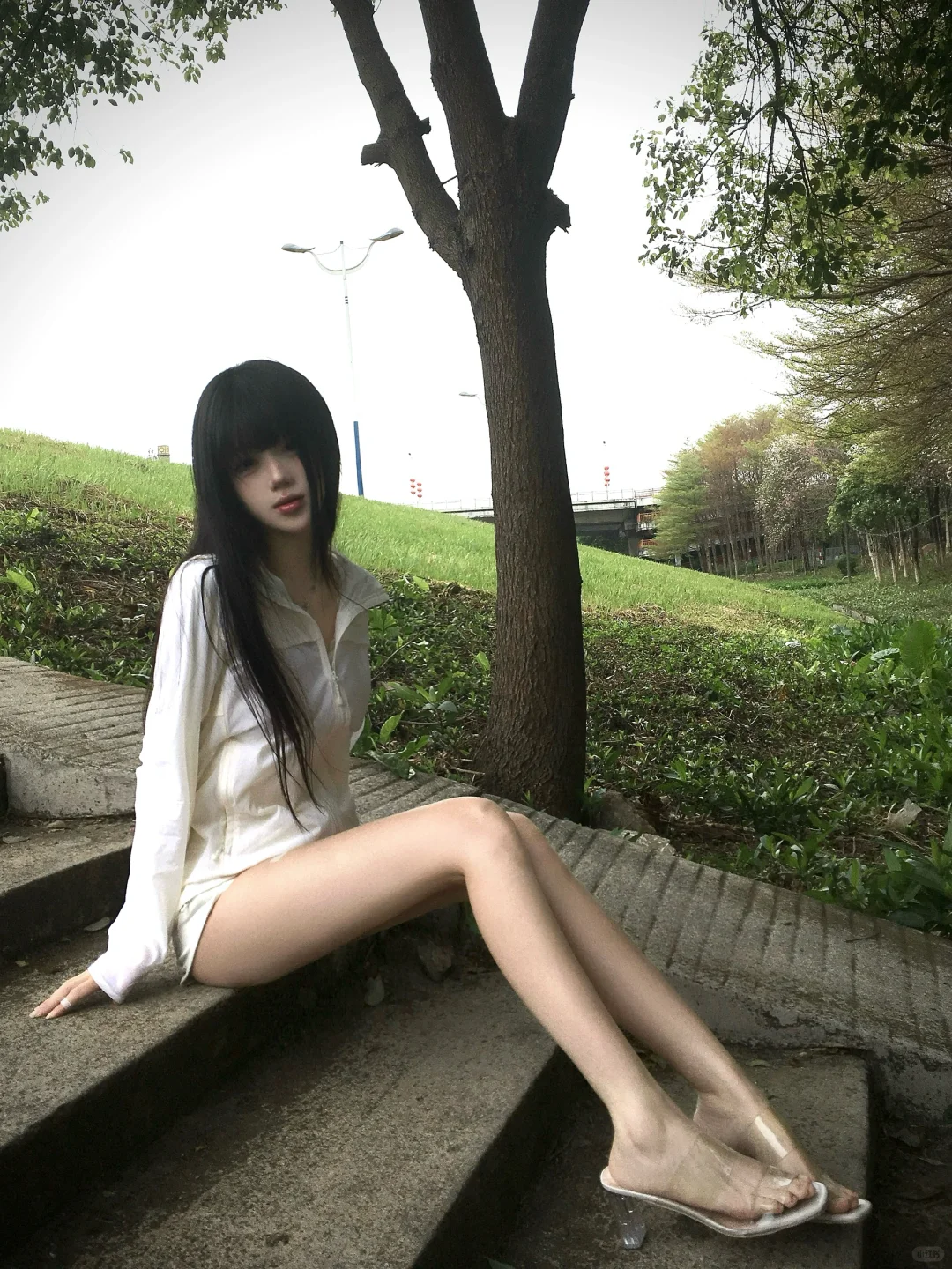 我和你的眼睛是交织的二十三条树脉