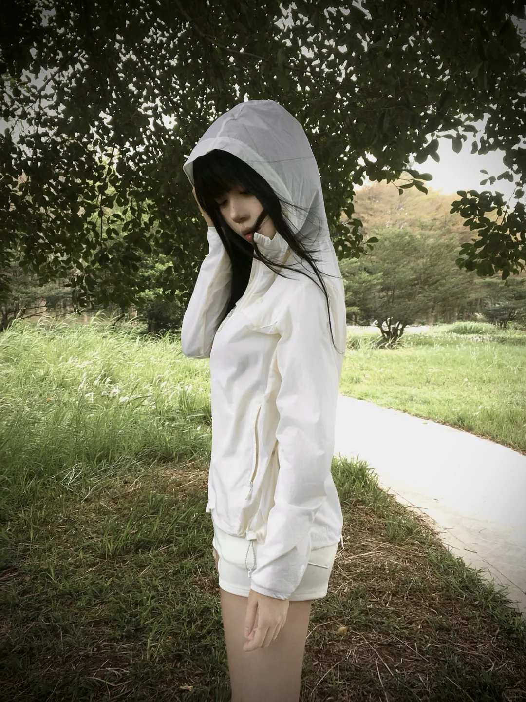 我和你的眼睛是交织的二十三条树脉