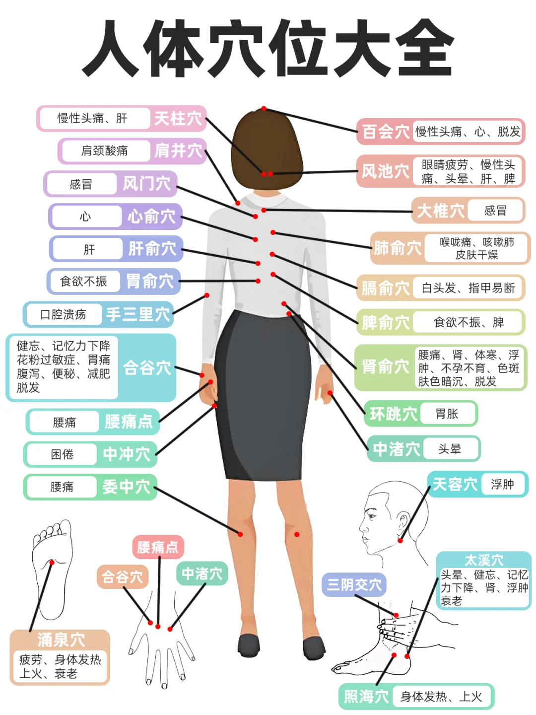 中医｜引经药：让药效