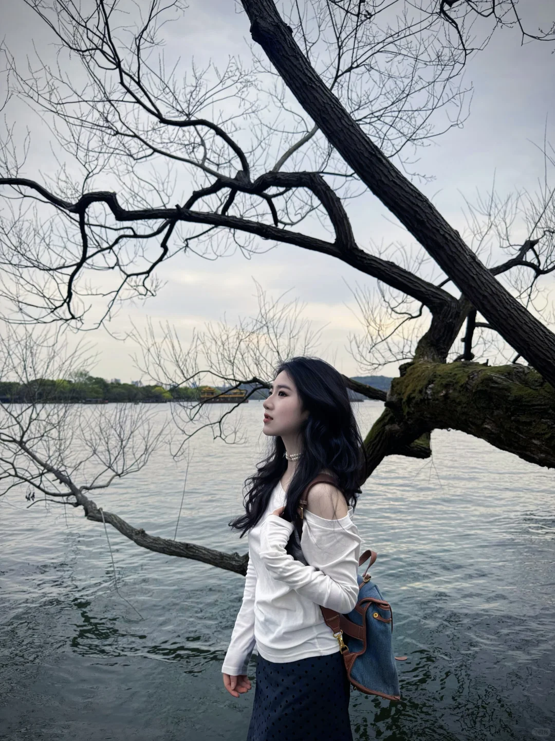 我的西湖水为什么这么瘦