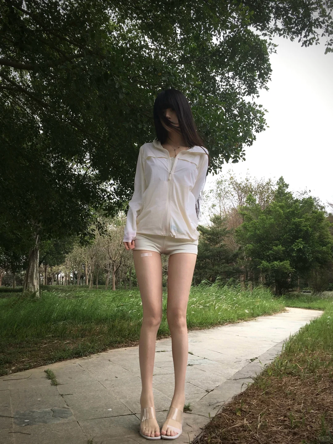 我和你的眼睛是交织的二十三条树脉