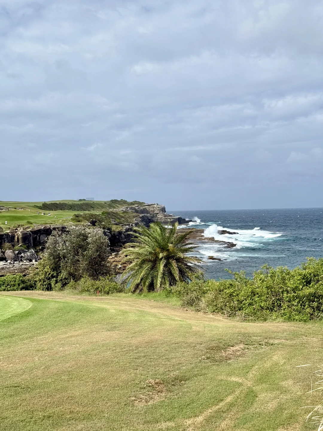 🇦🇺Syd丨Little bay🖼️