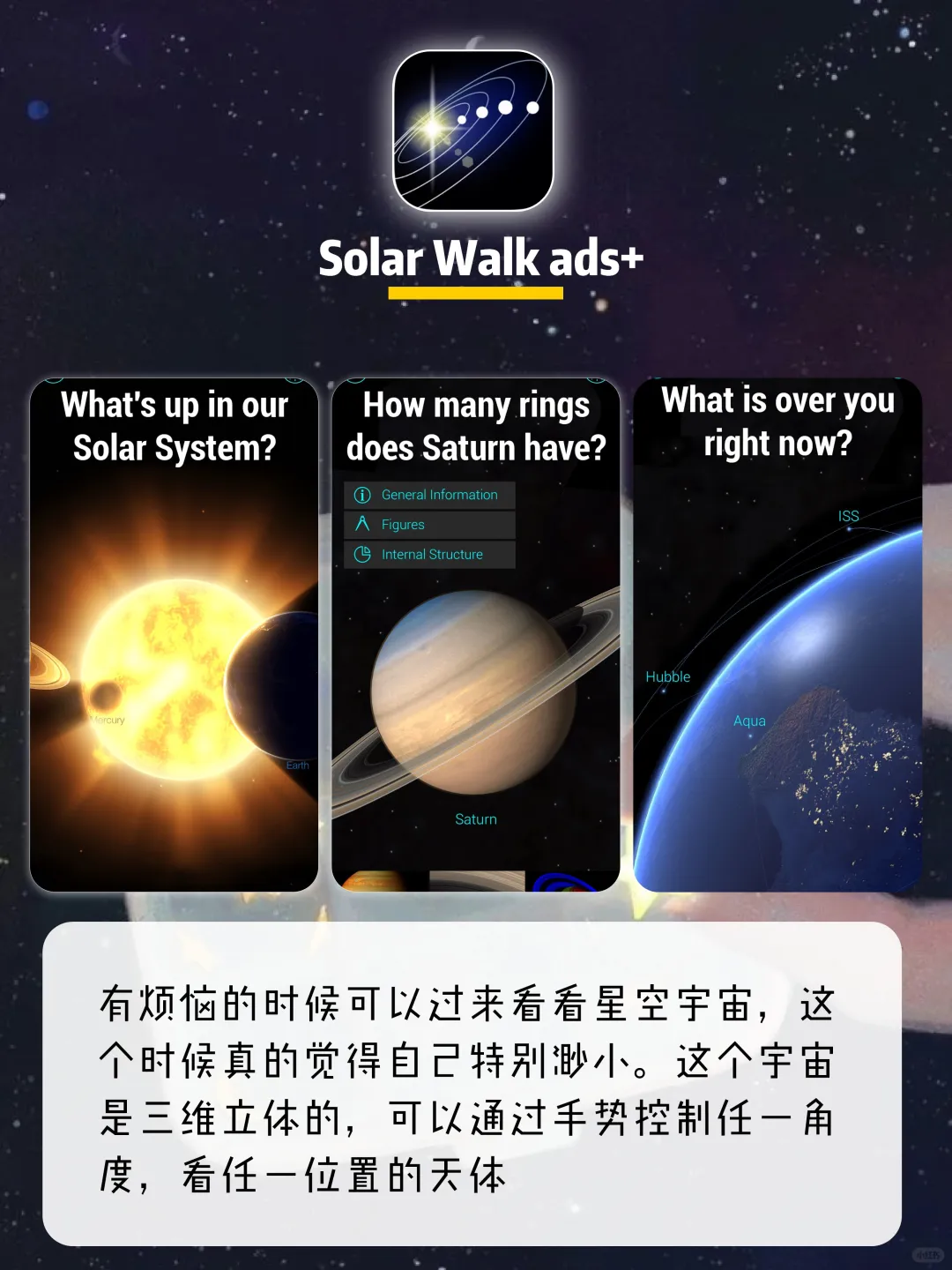 逆袭提升必备APP🌟手机里一个顶十个🐻