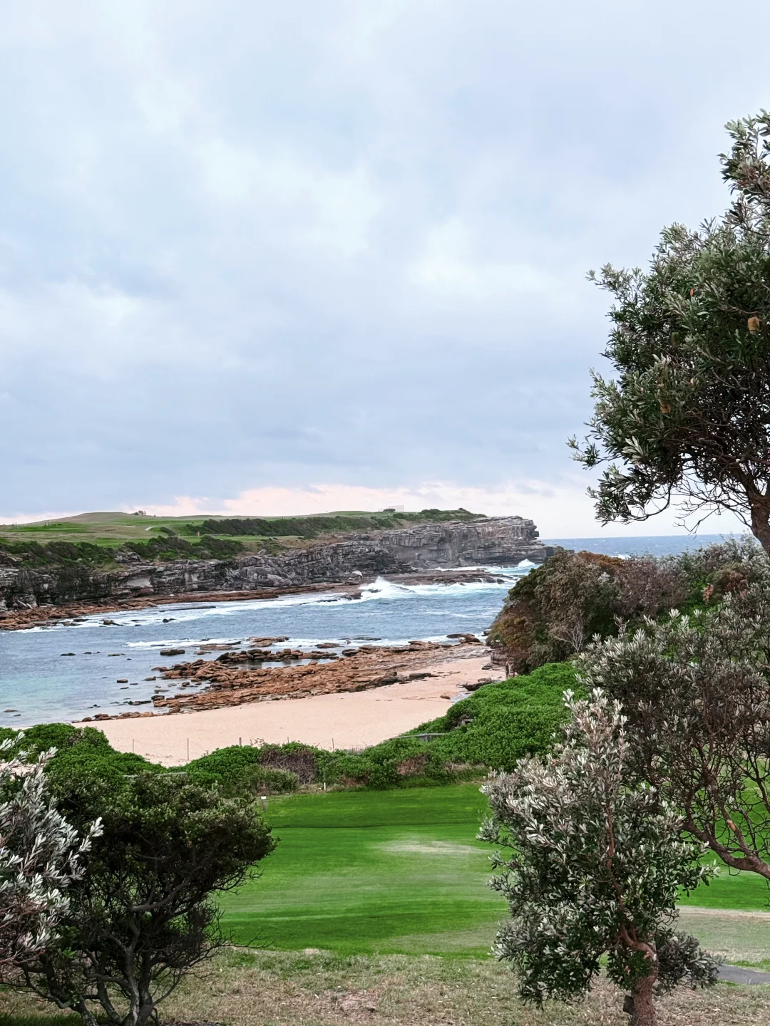 🇦🇺Syd丨Little bay🖼️