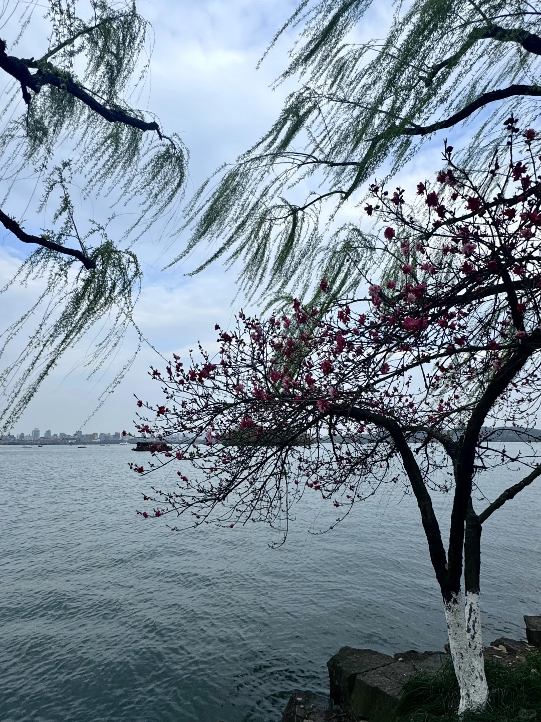 我的西湖水为什么这么瘦