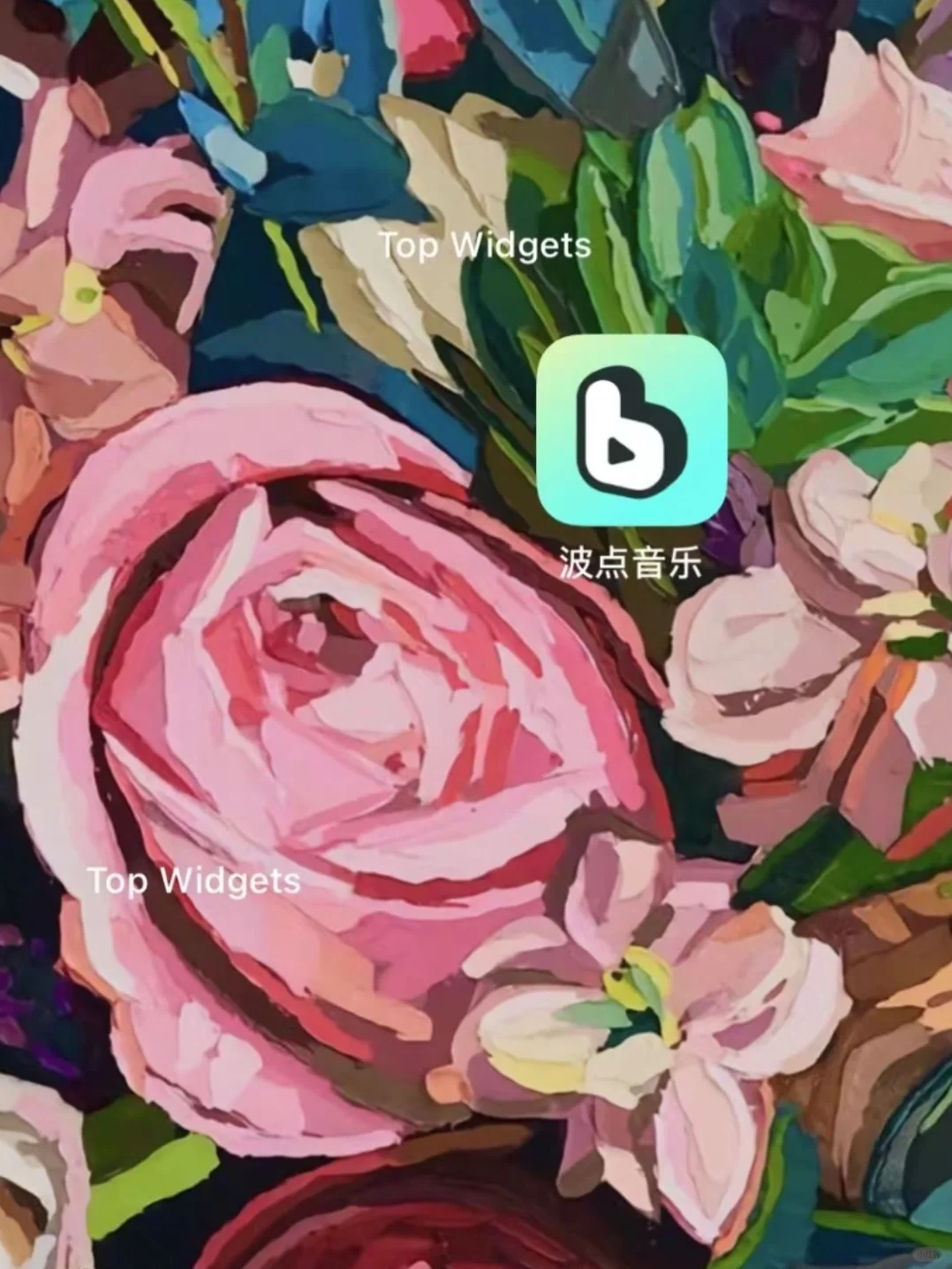 亲测 好用薅羊毛 音乐🎵app Android/ios