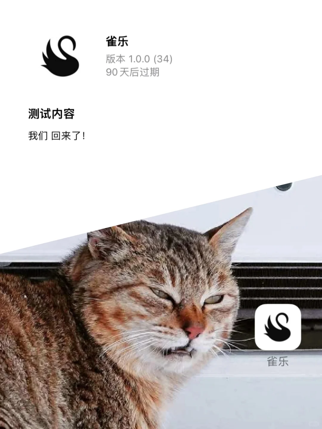 📆雀乐(落网)回归倒计时