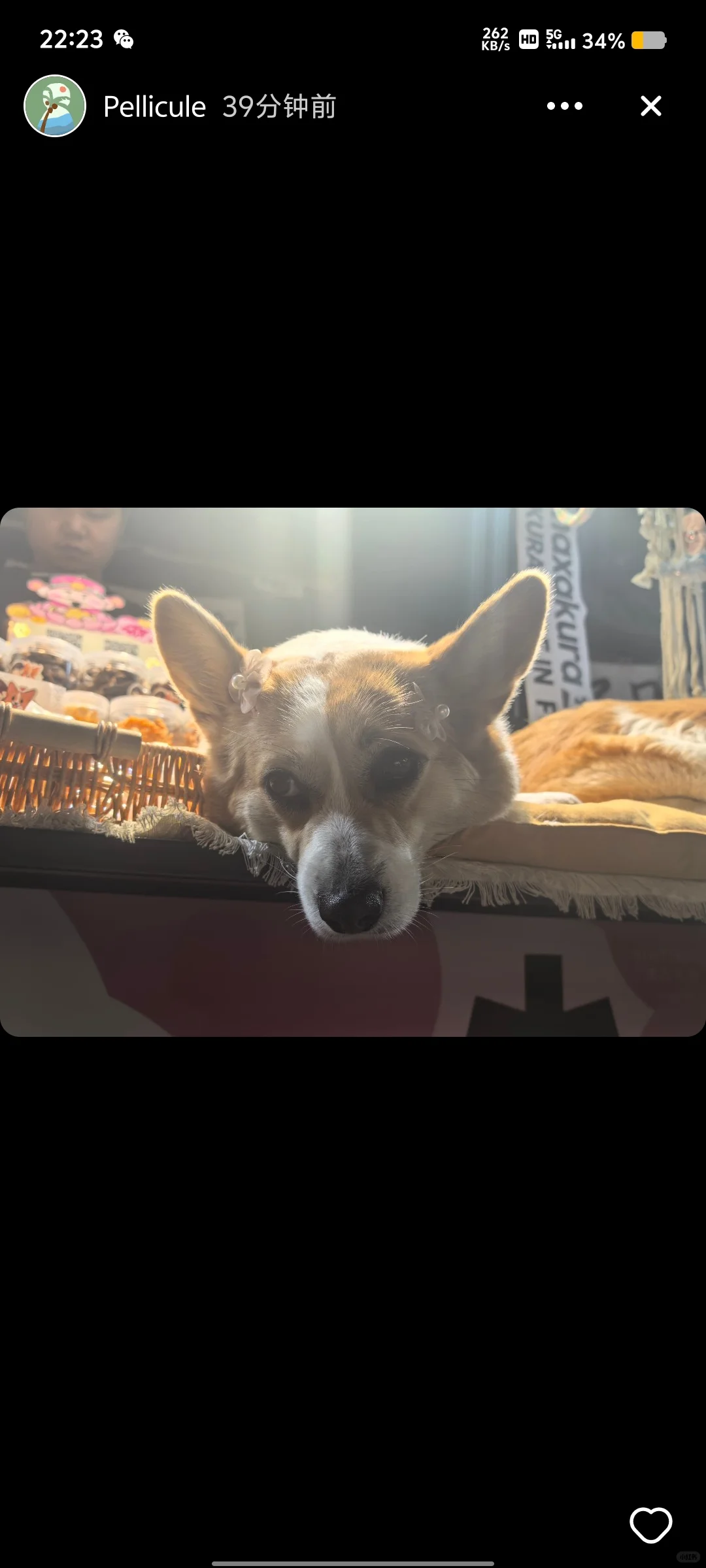 家人们谁懂！找到朋友圈平替app啦