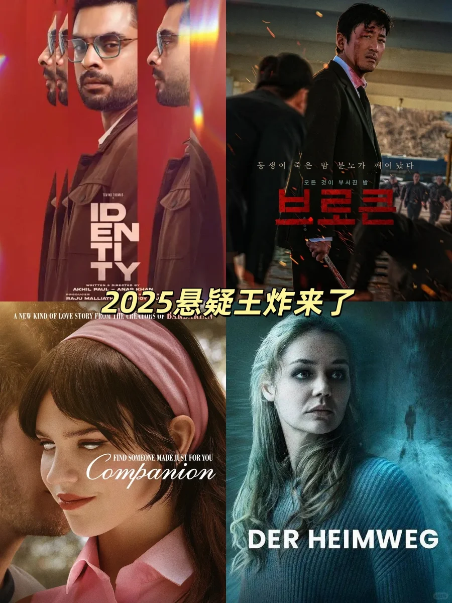 🔥2025不容错过的悬疑烧脑反转影片