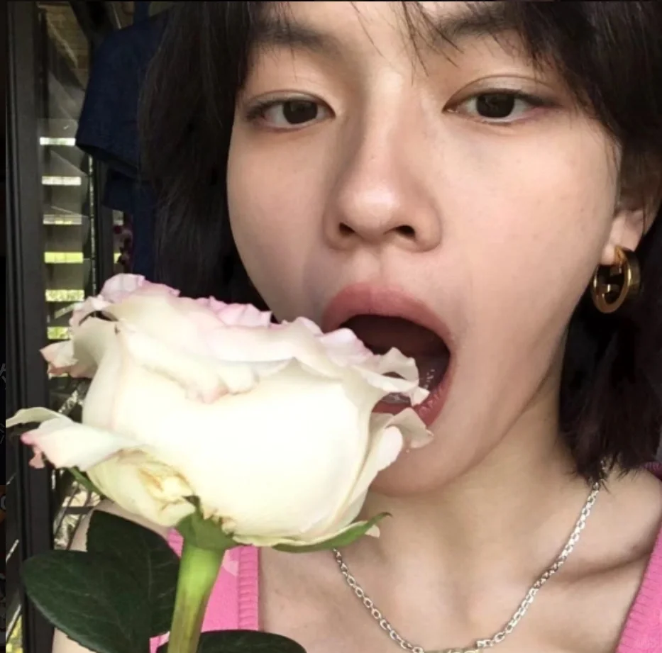 （1）Mark一下文淇力荐的电影🎬