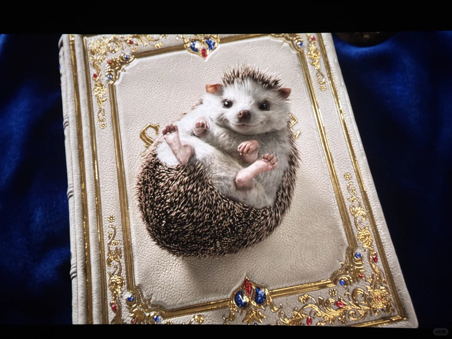 白雪公主……虽然不白但还是好看的