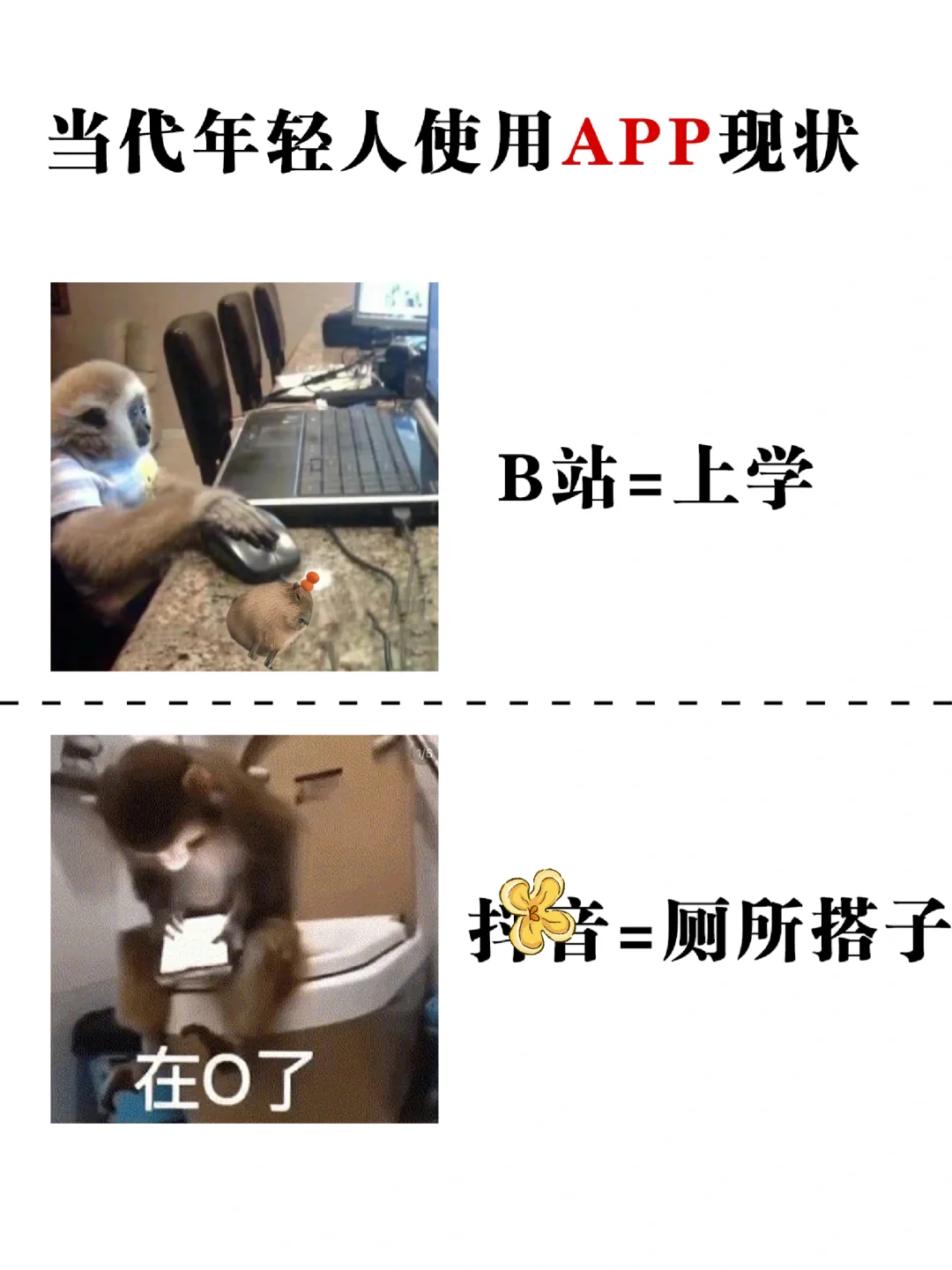 当代年轻人APP使用现状‼️