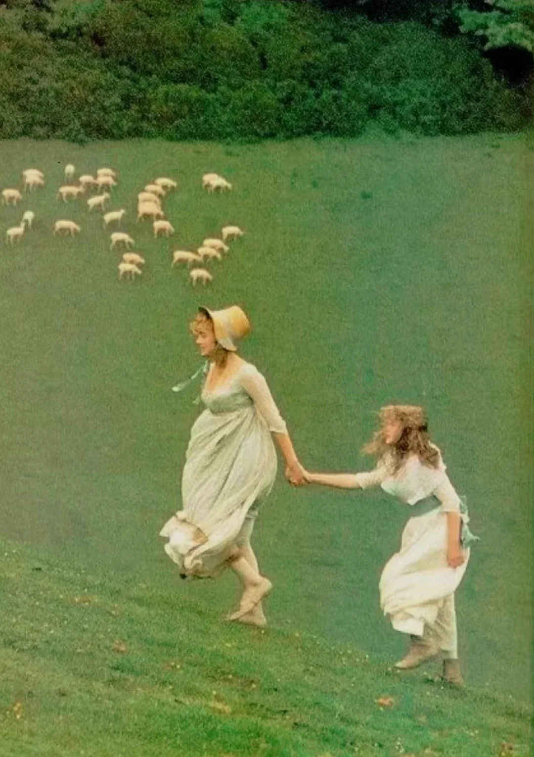 这部电影是有什么审美牛逼症吗‼️太太太美了