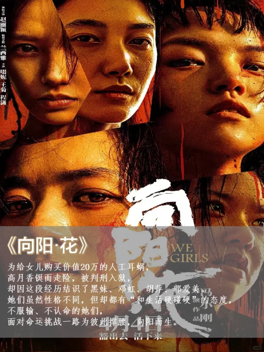 2025观影🎬4月待上映电影❗️看这一篇就够了