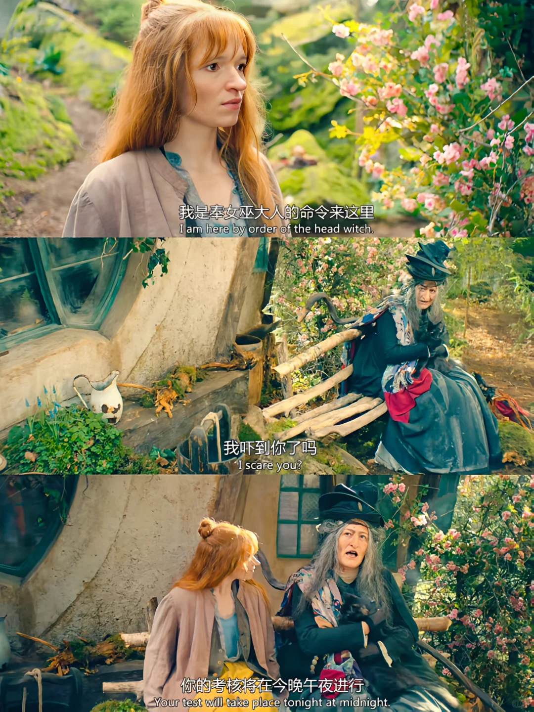 啊啊啊😭这么好看的电影我怎么才发现❓