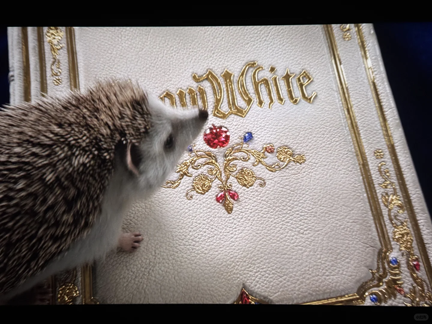 白雪公主……虽然不白但还是好看的