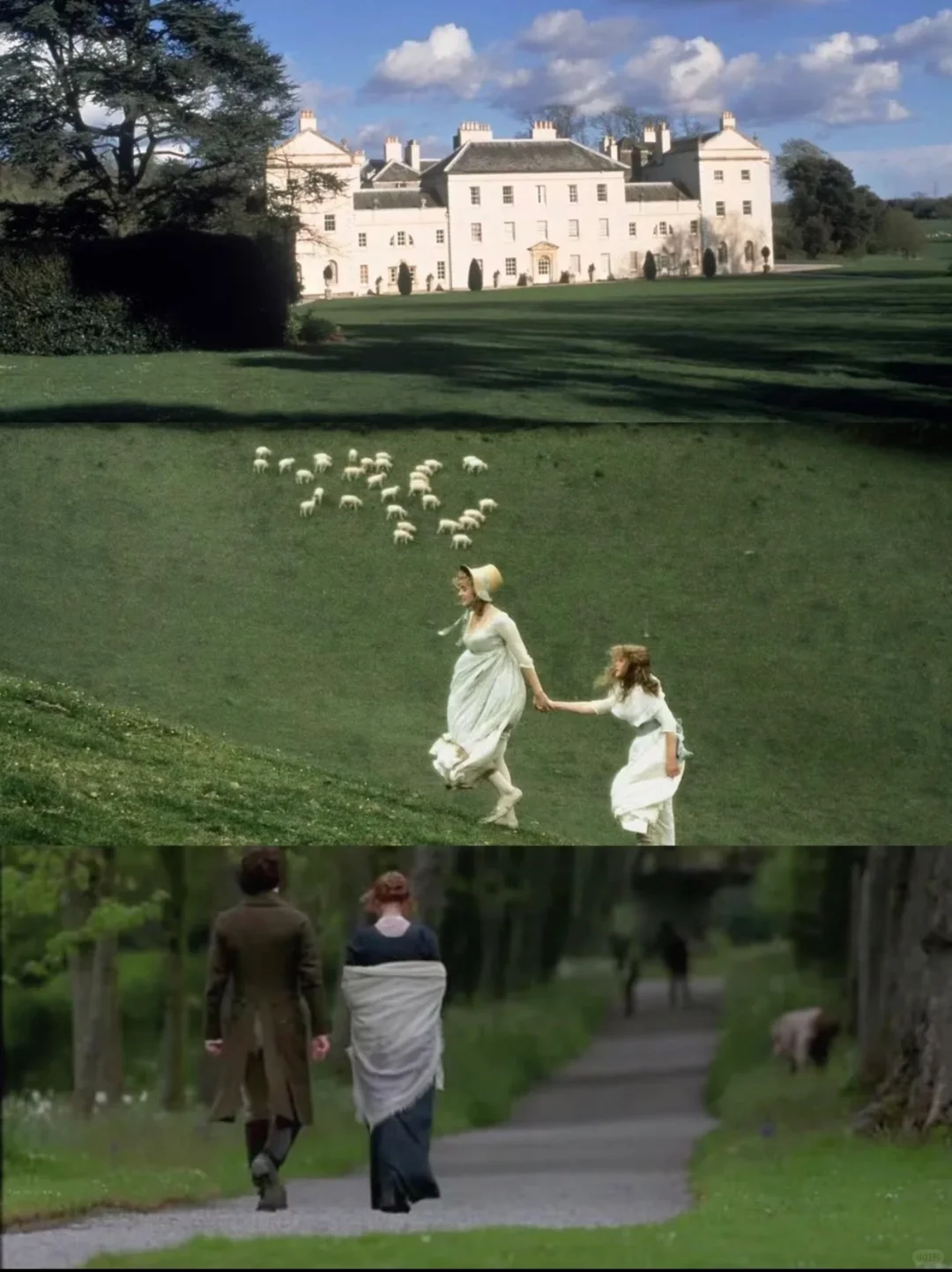 这部电影是有什么审美牛逼症吗‼️太太太美了