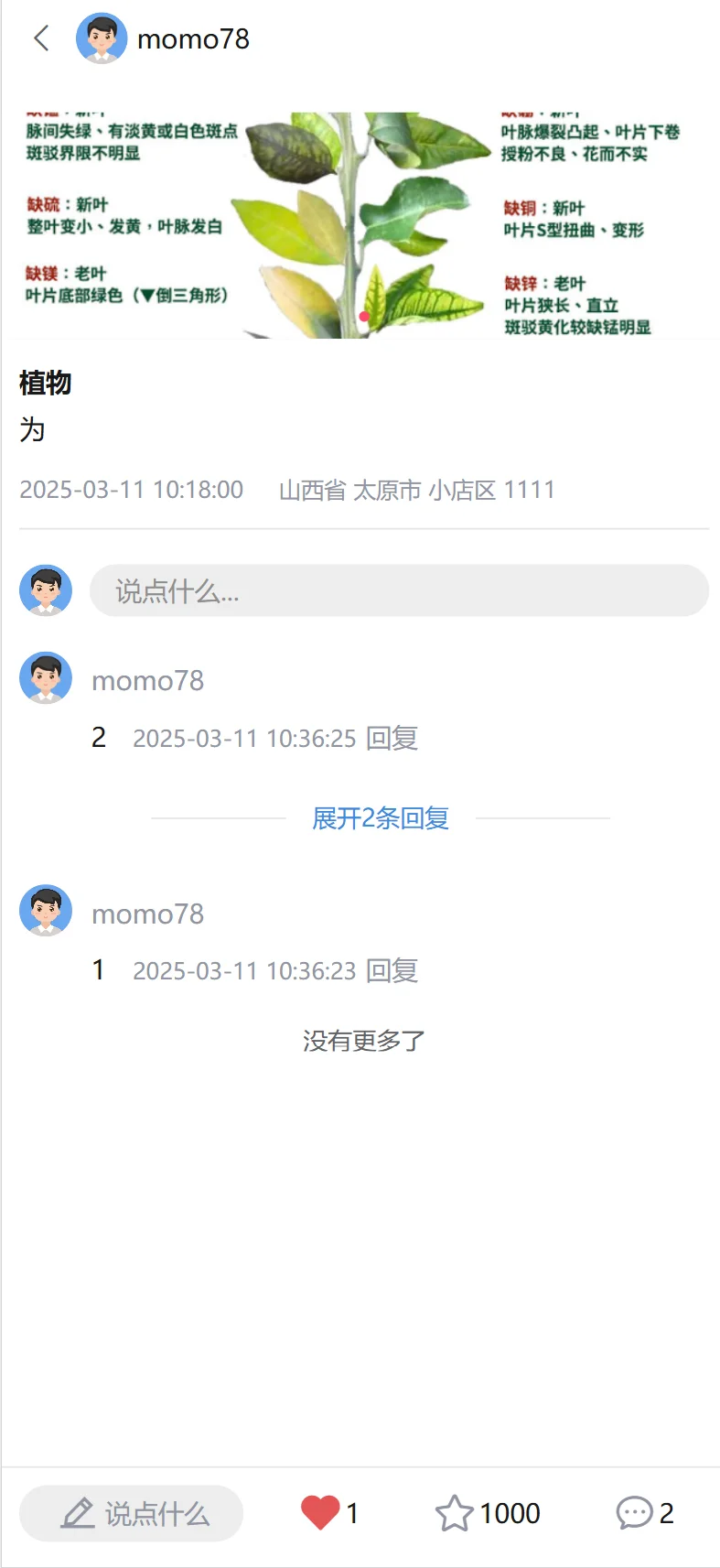 类似小红书的社交app