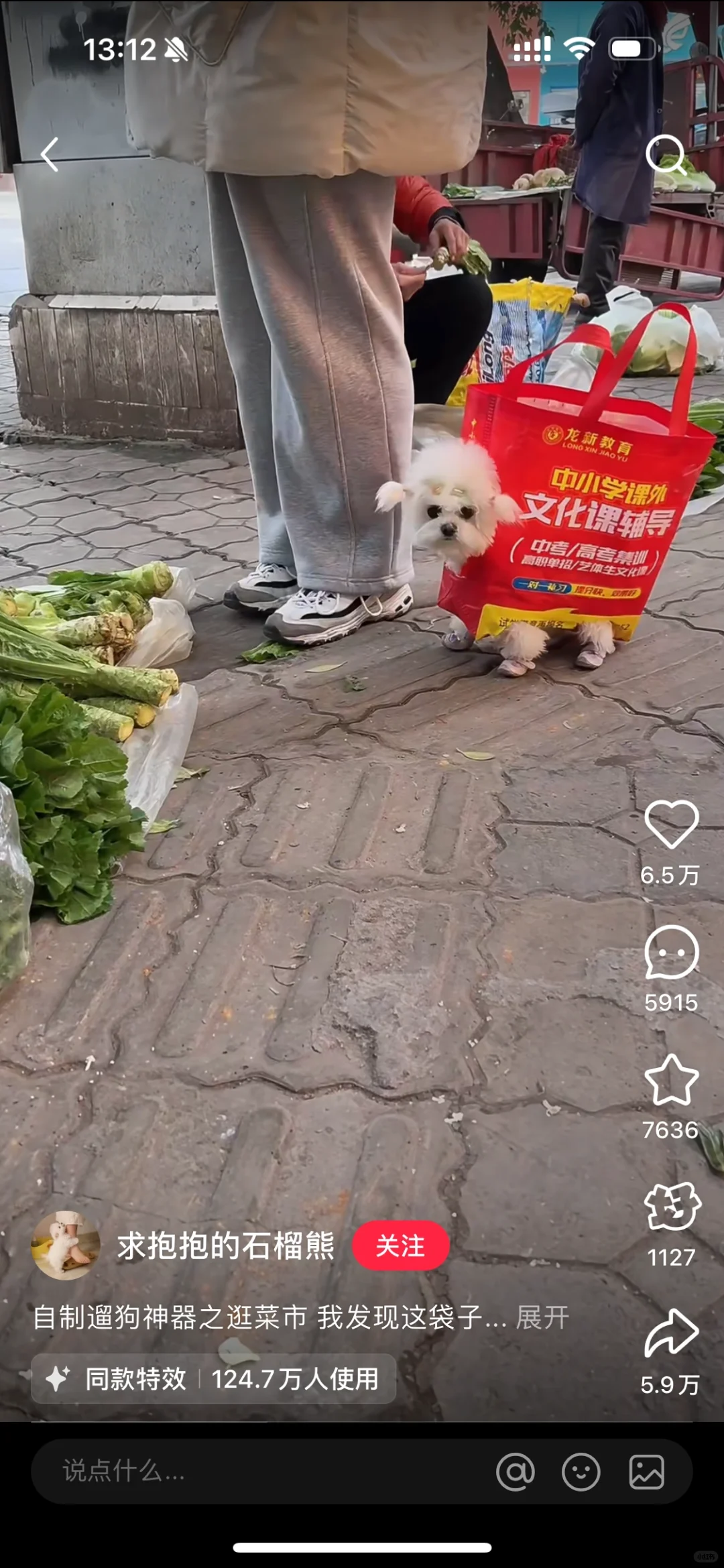 谁能分清这是哪个app啊