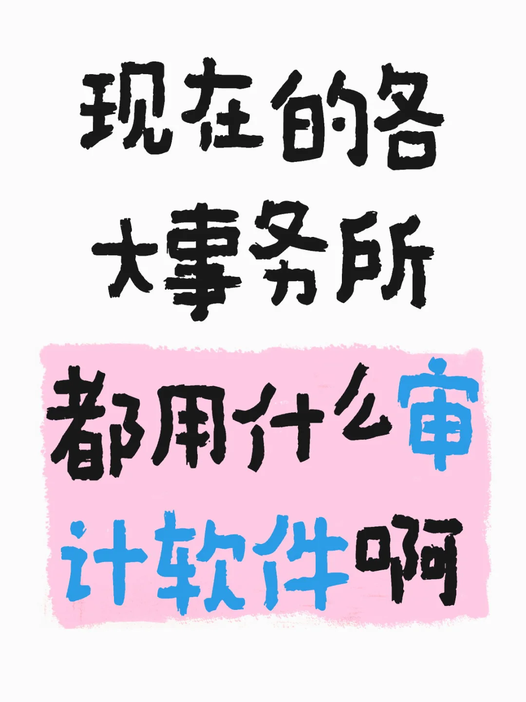 现在的各大事务所都用什么审计软件啊