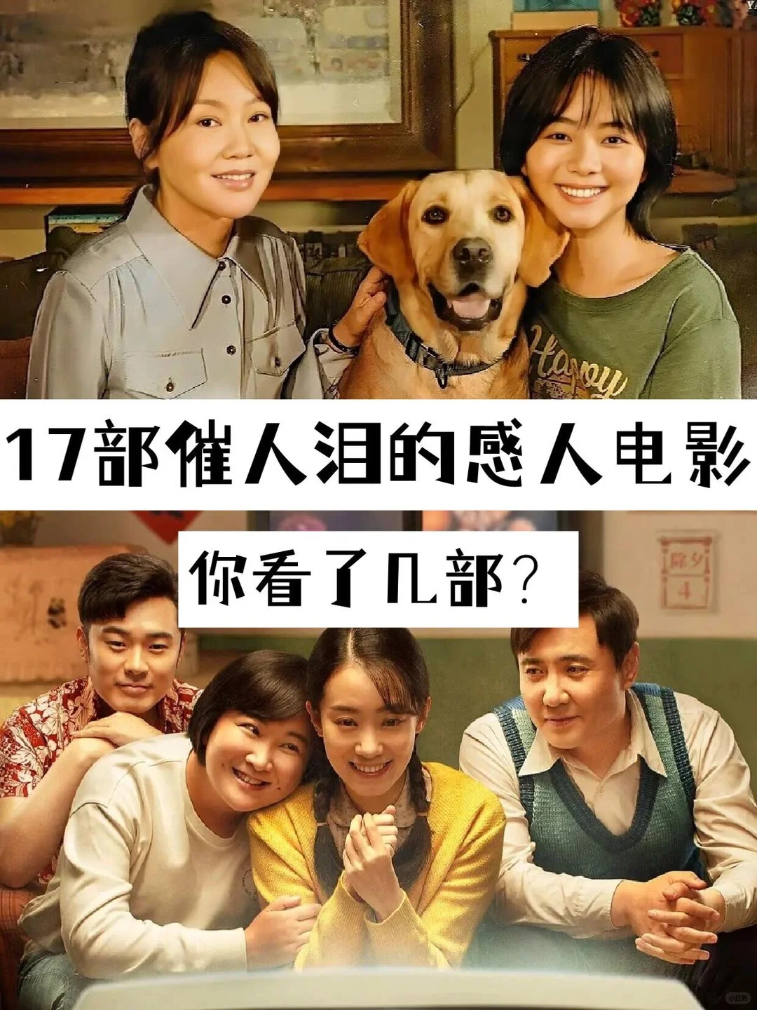 17部感人催泪电影推荐