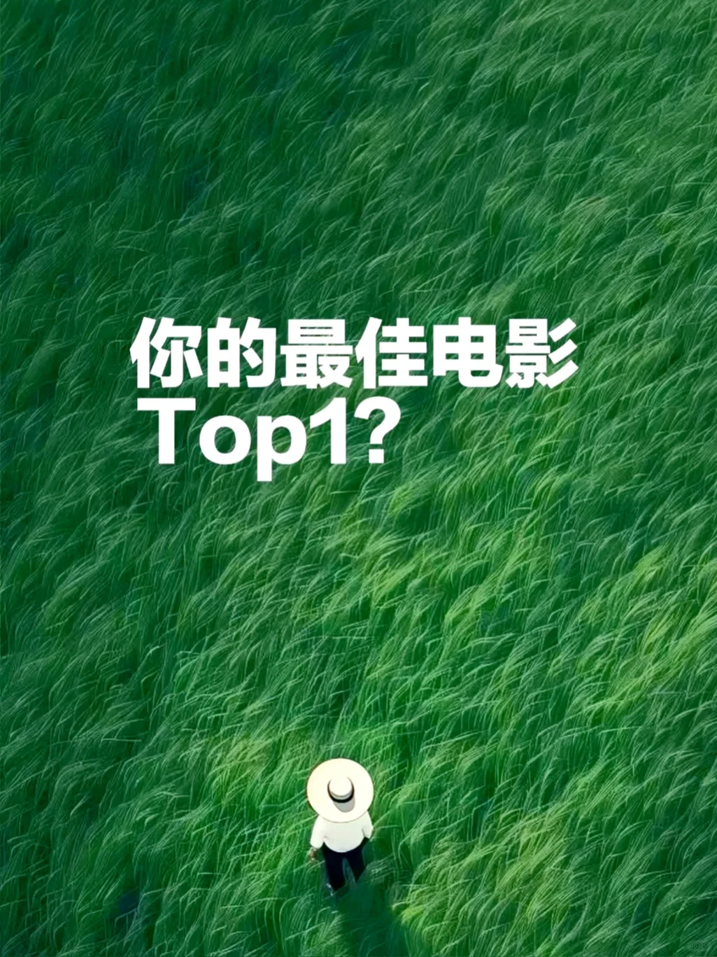 你心中的最佳电影Top 1？