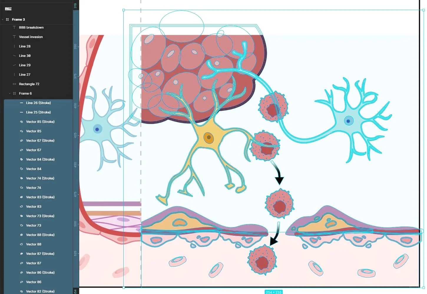 Figma-比ai还好用的科研绘图工具