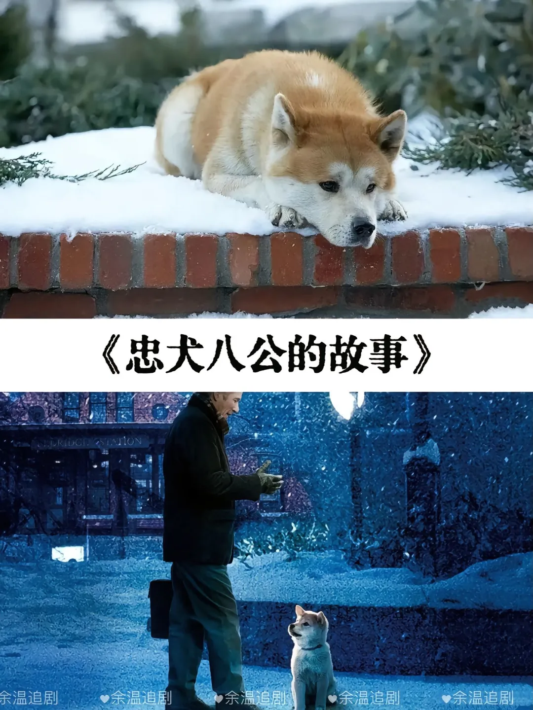 17部感人催泪电影推荐