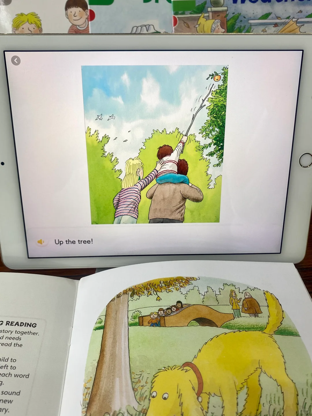 超多麻麻果断入手！这个免💰牛津树app确实好