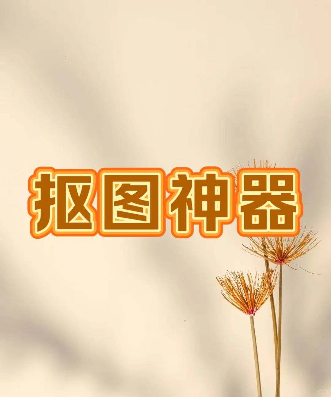 分享一个连发丝都能抠出来的P图软件！