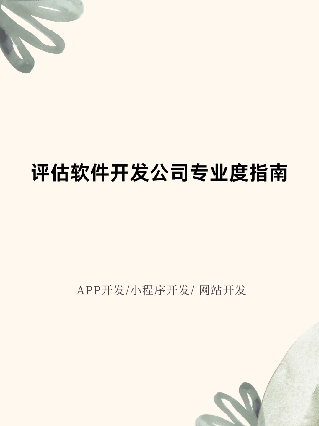 评估软件开发公司专业度指南