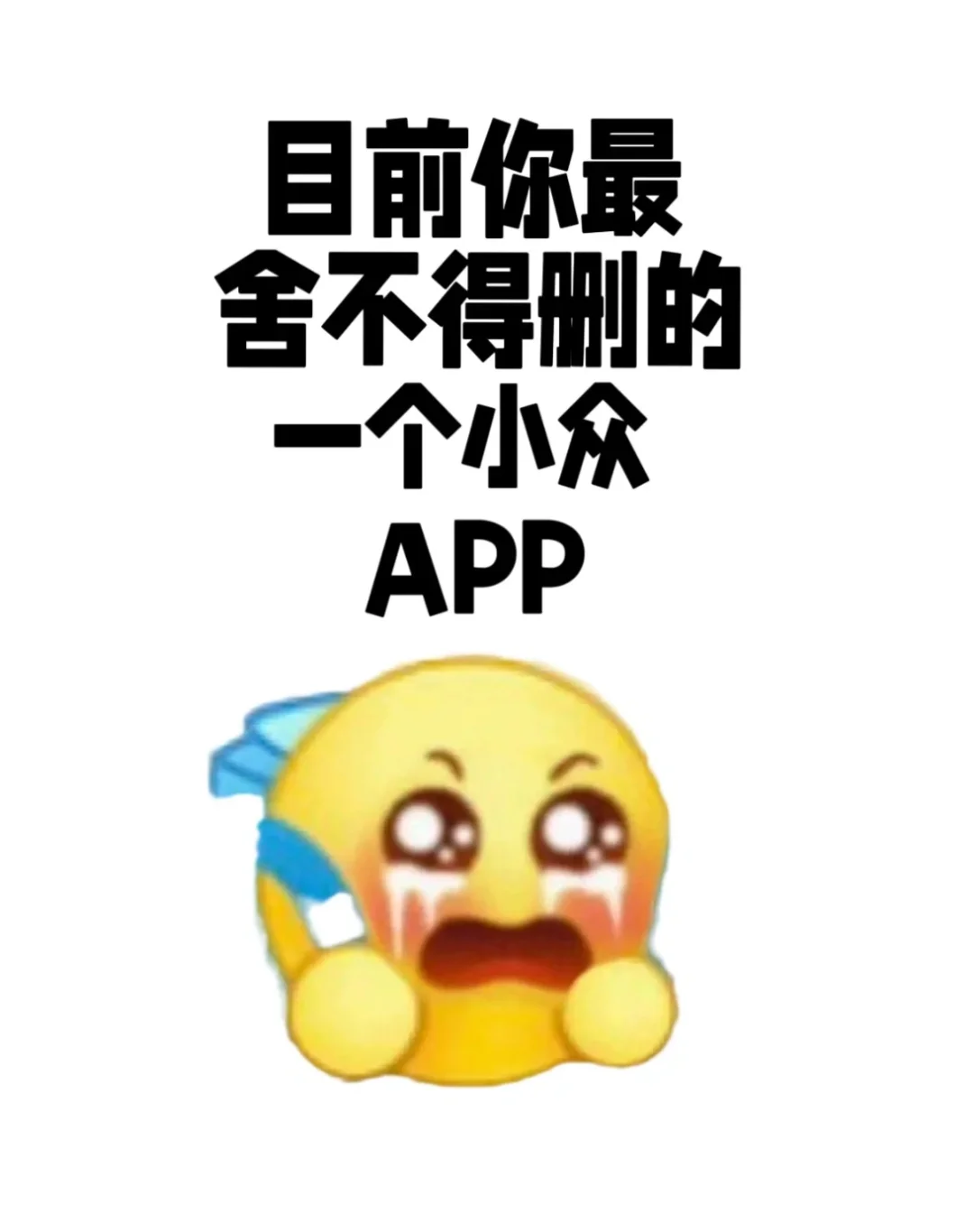 大家有没有舍不得卸载的小众app