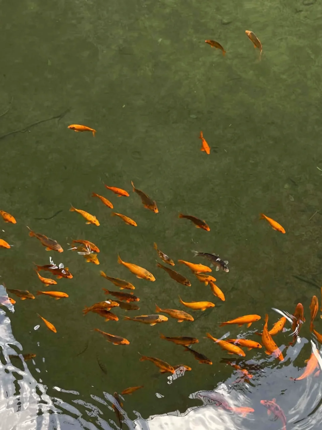 春招各大招聘软件使用感受