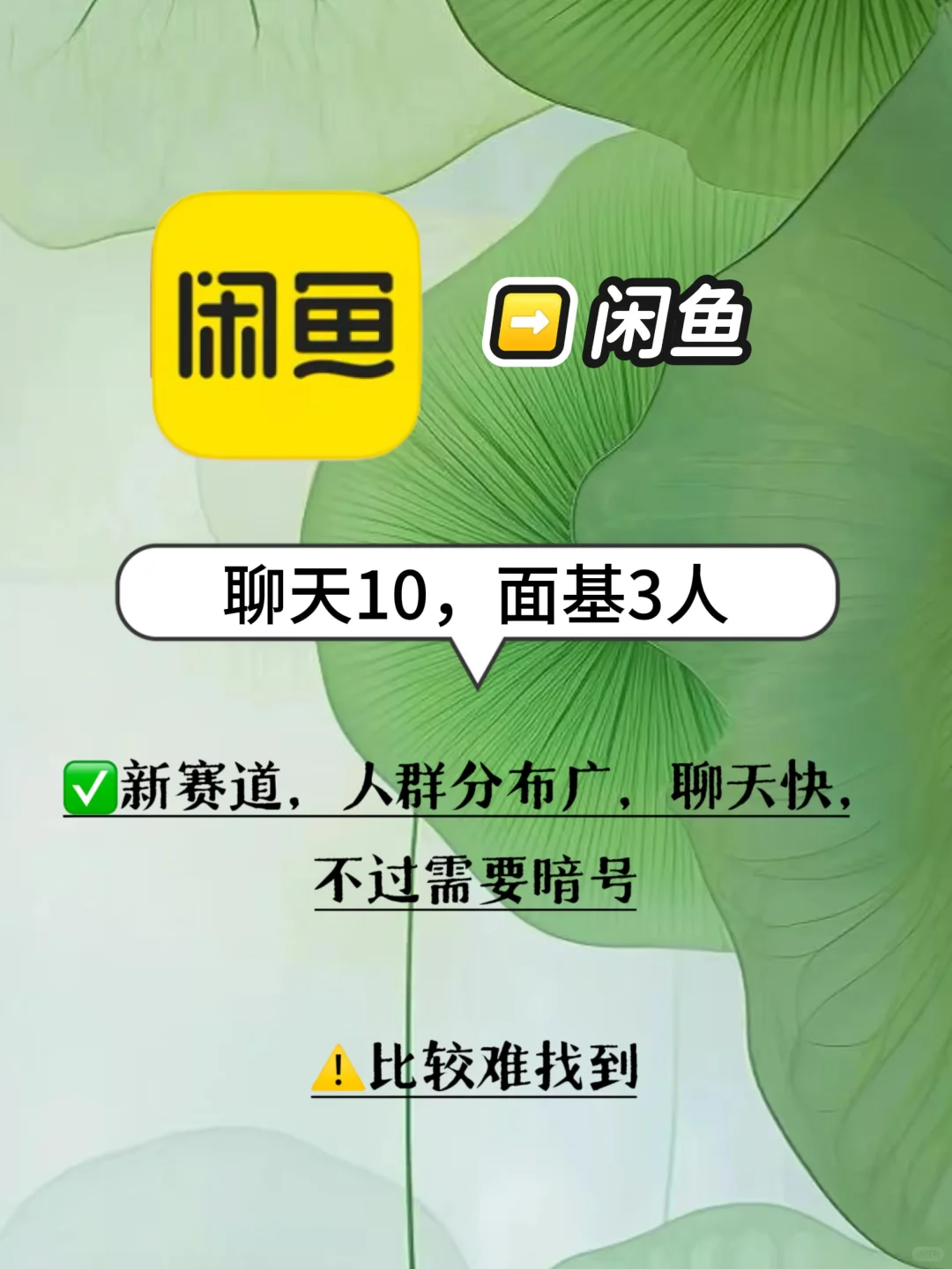 4大交友软件体验感受分享！