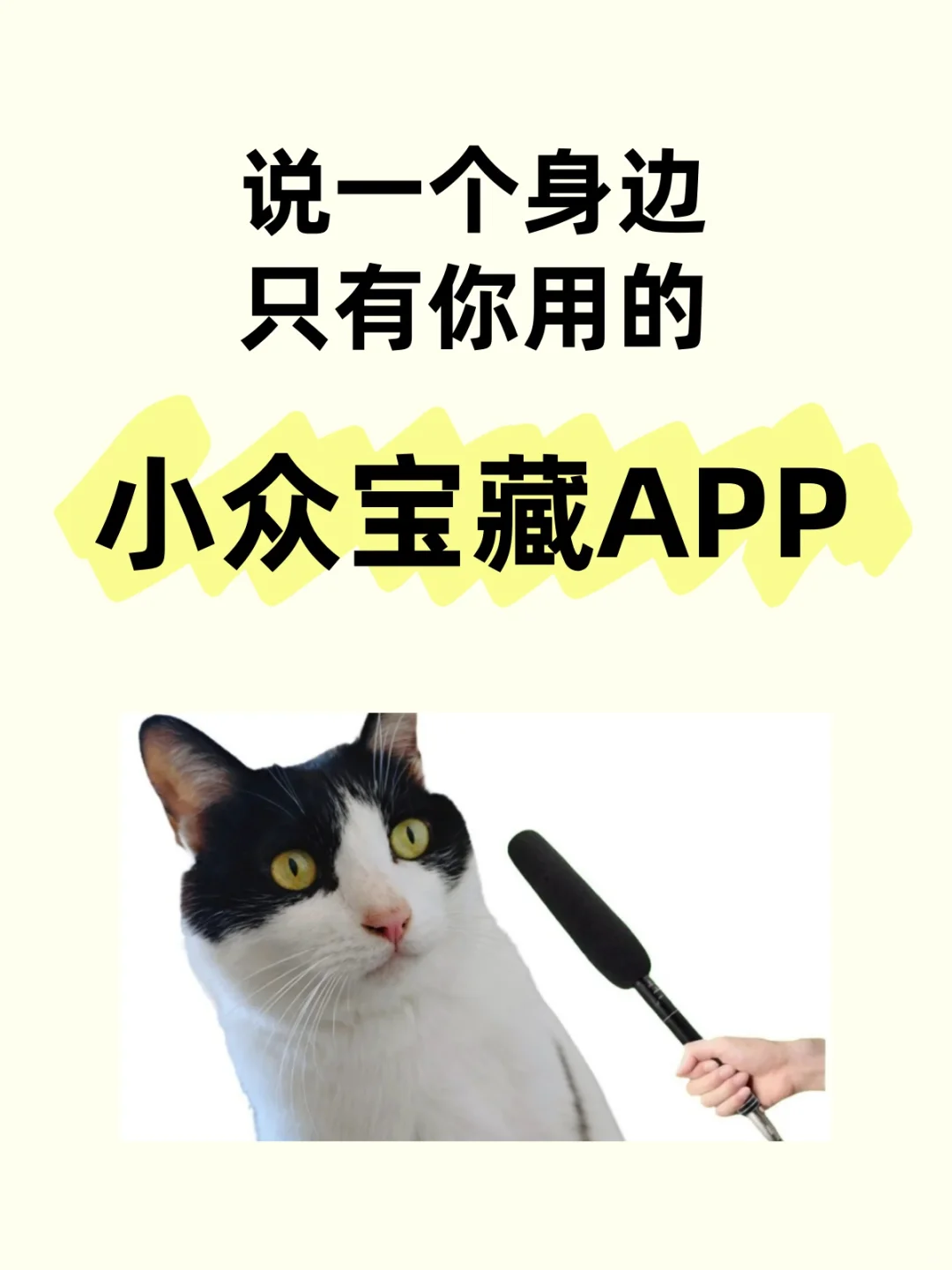 说一个你觉得超好用的宝藏APP