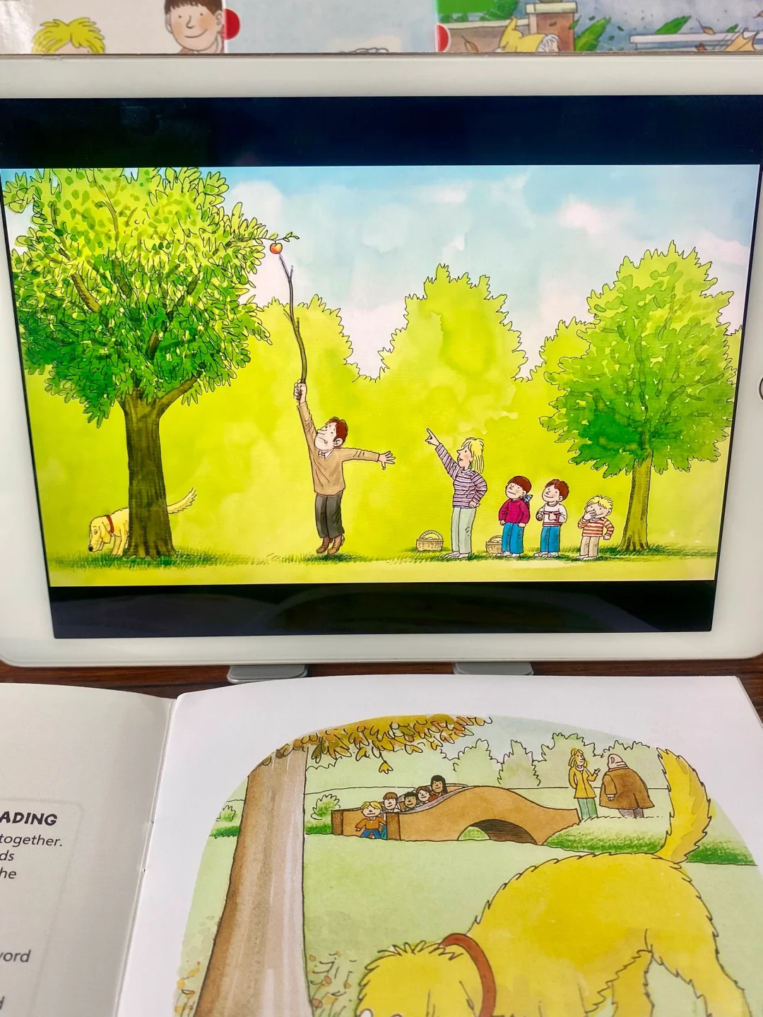 超多麻麻果断入手！这个免💰牛津树app确实好