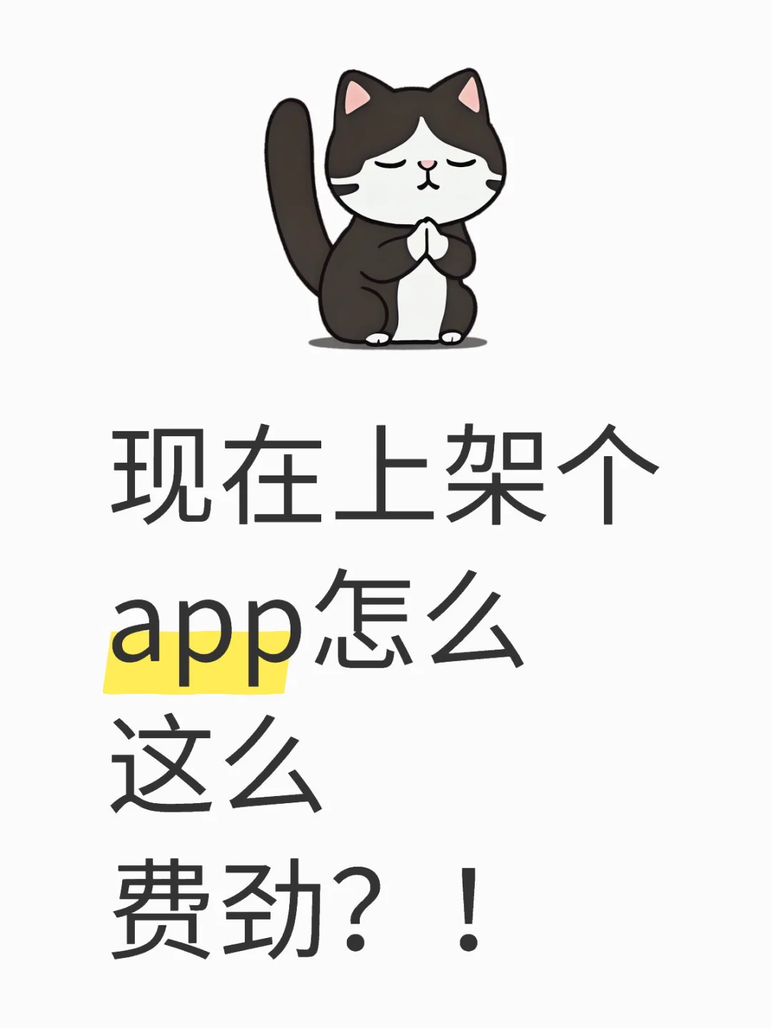 昨天想把开发的app接个支付功能，结果惨了