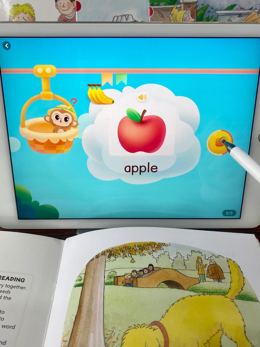 超多麻麻果断入手！这个免💰牛津树app确实好