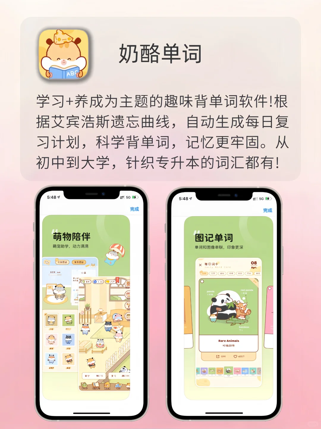 女生内卷神器✨内存1%也要拥有‼️