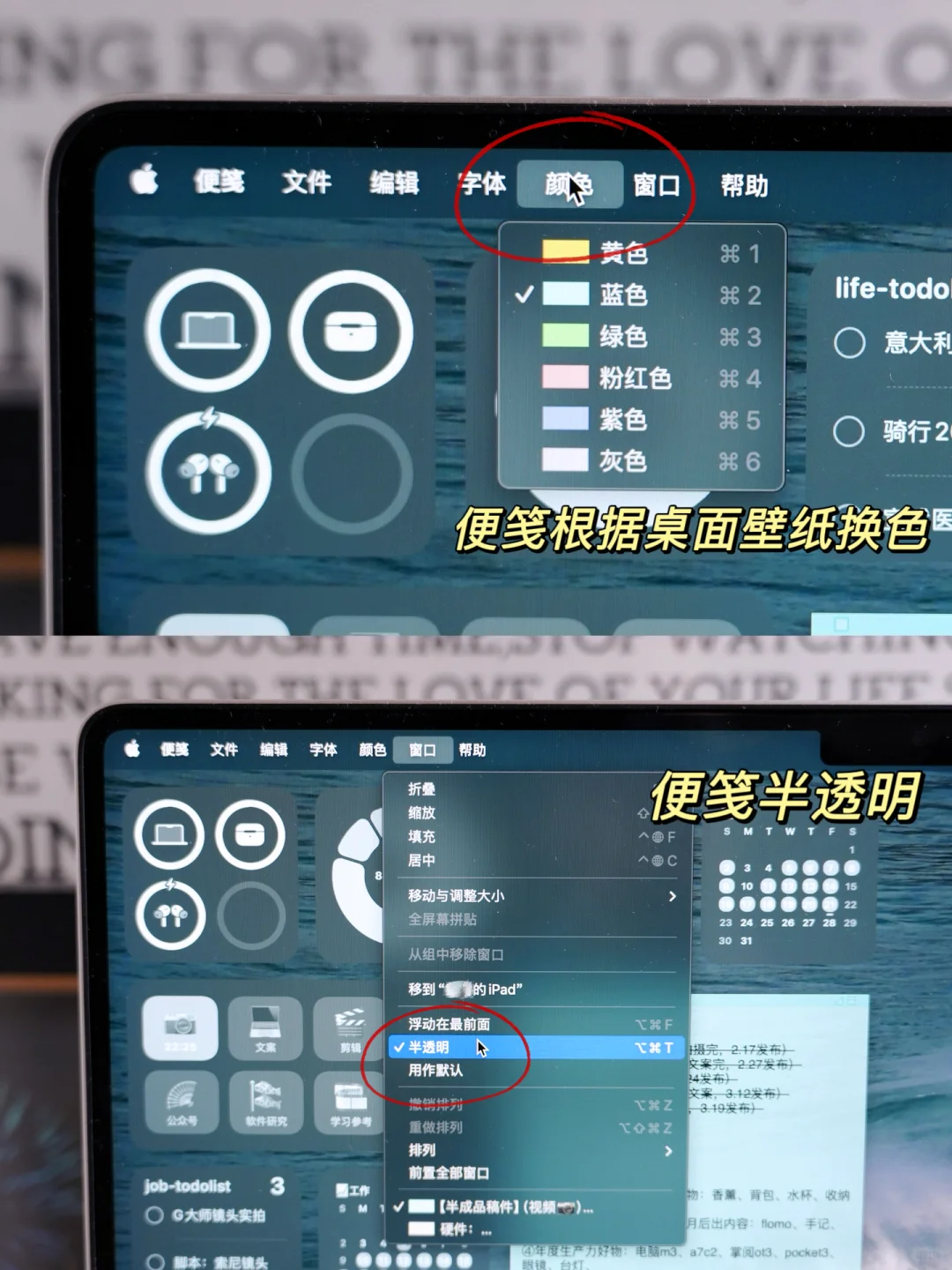 Mac焕然一新!桌面有点好看高效阿💻