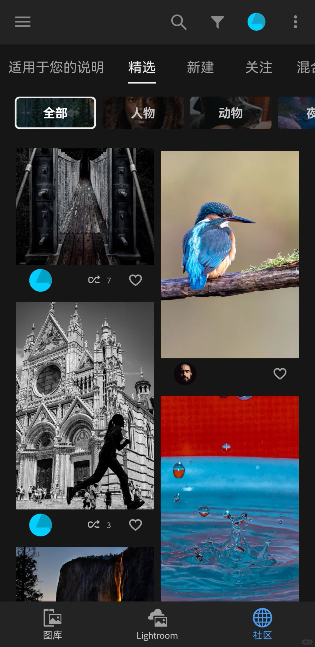 Lightroom手机版|Adobe Lr2024移动端