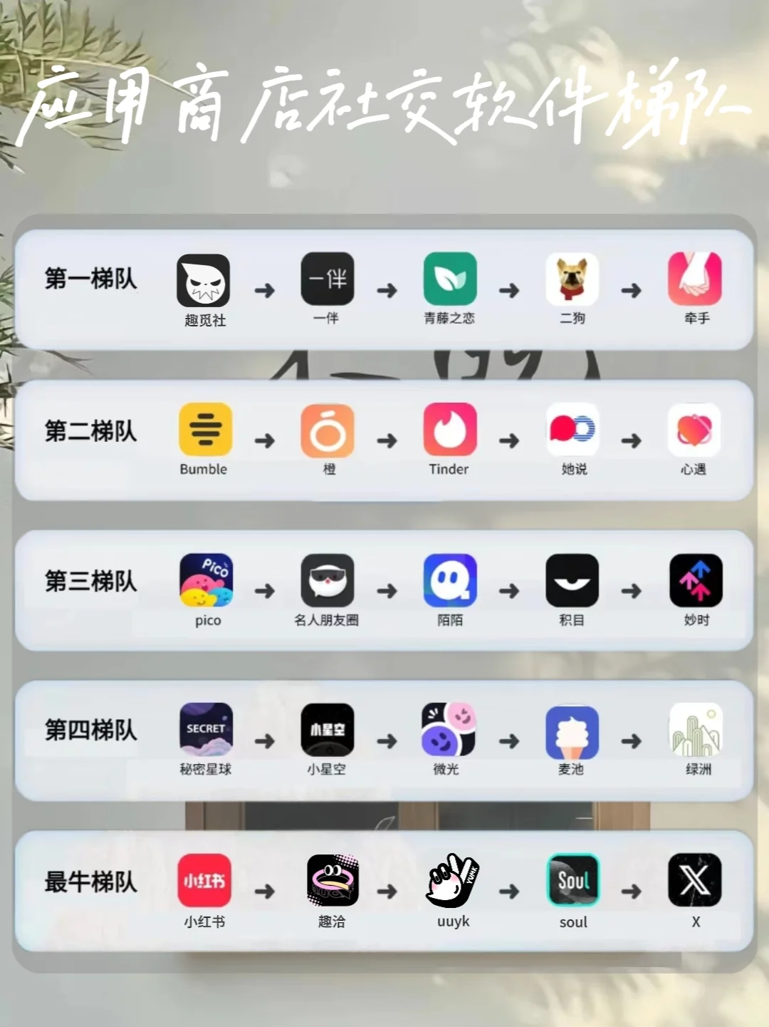 应用商店社交软件梯队排名