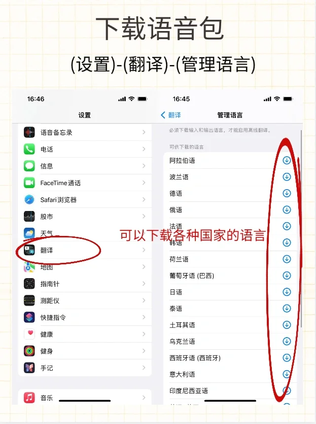 iPhone的自动翻译太香了❗️你一定要知道