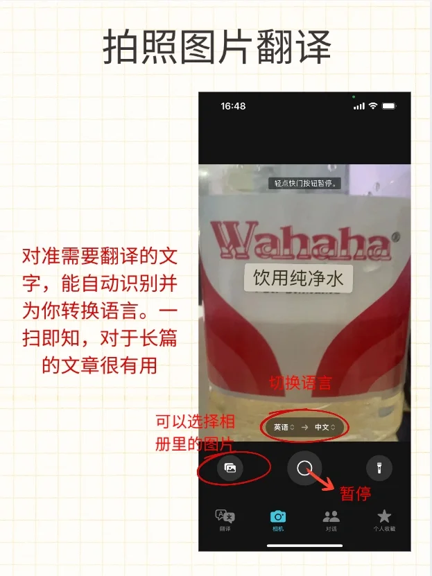 iPhone的自动翻译太香了❗️你一定要知道