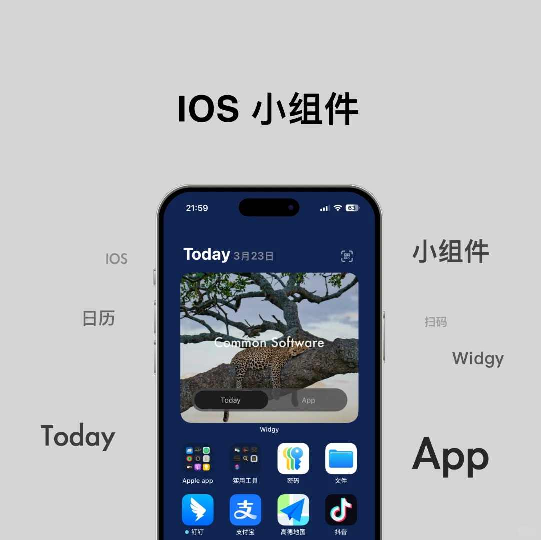 ios小组件·widgy