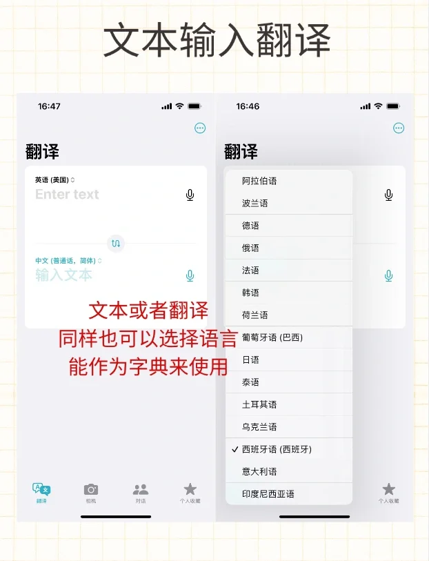 iPhone的自动翻译太香了❗️你一定要知道