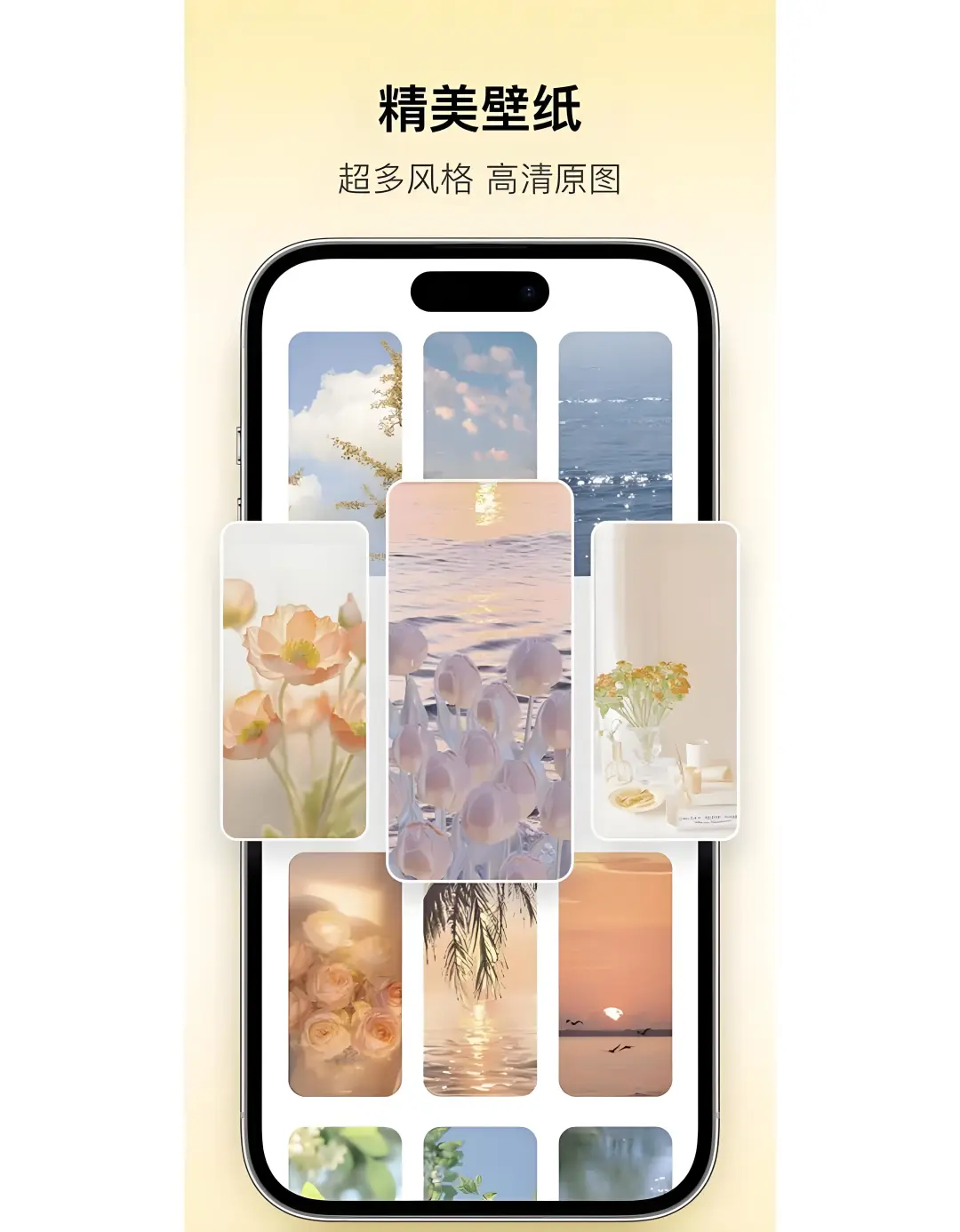 💥吹爆！ColorfulWidget会员版，桌面美化绝了