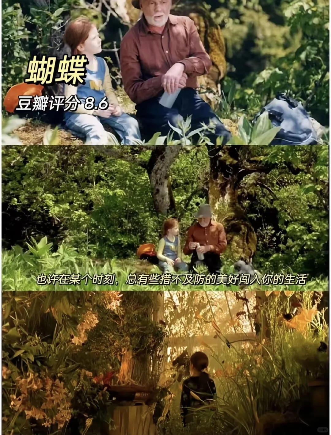 感谢这10部电影疗愈了我的精神内耗