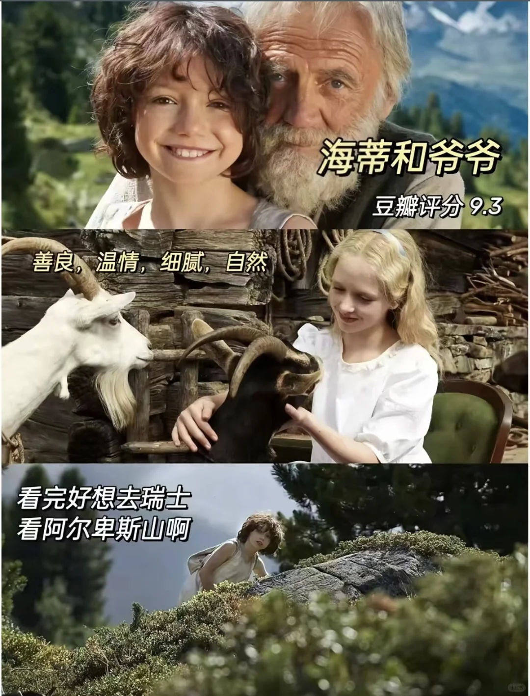 感谢这10部电影疗愈了我的精神内耗